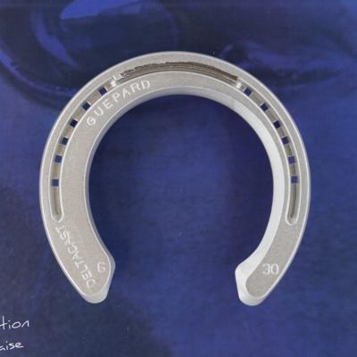 GUEPARD asymmetric 3clips