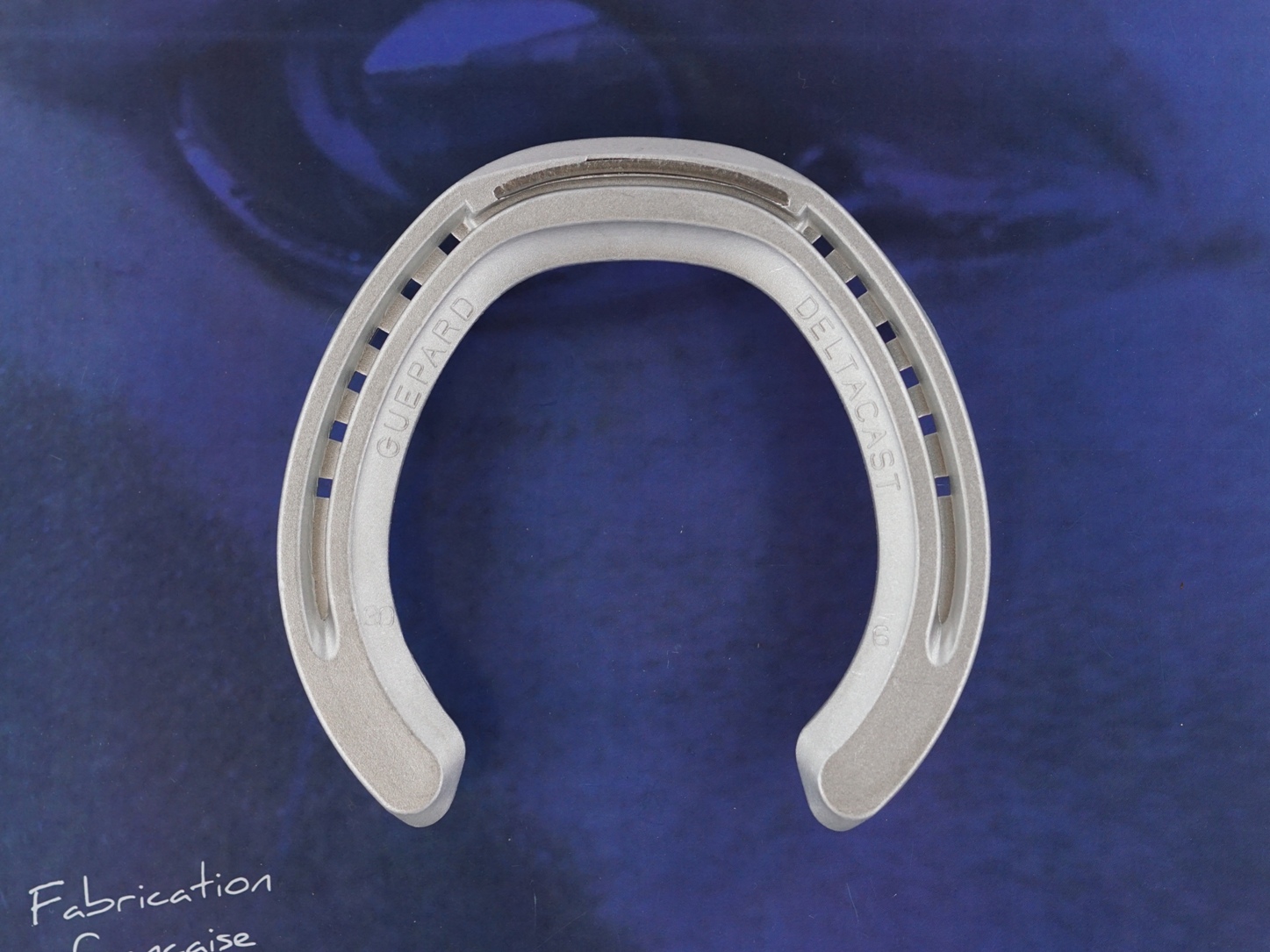 Guepard posterieur web