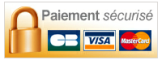 Logo securise payment