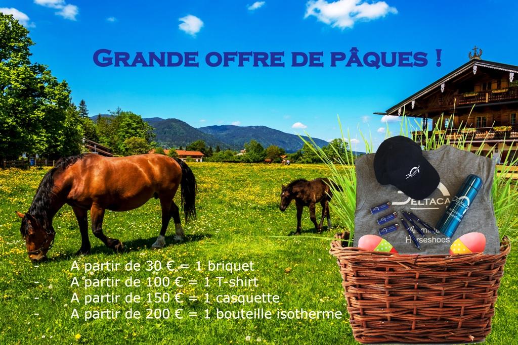 Offre paques web